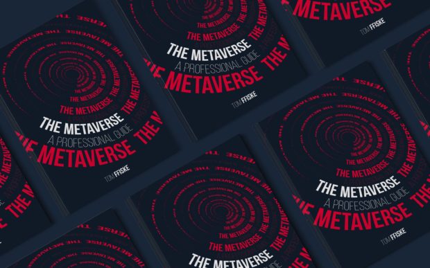 The Metaverse: A Professional Guide, 2022