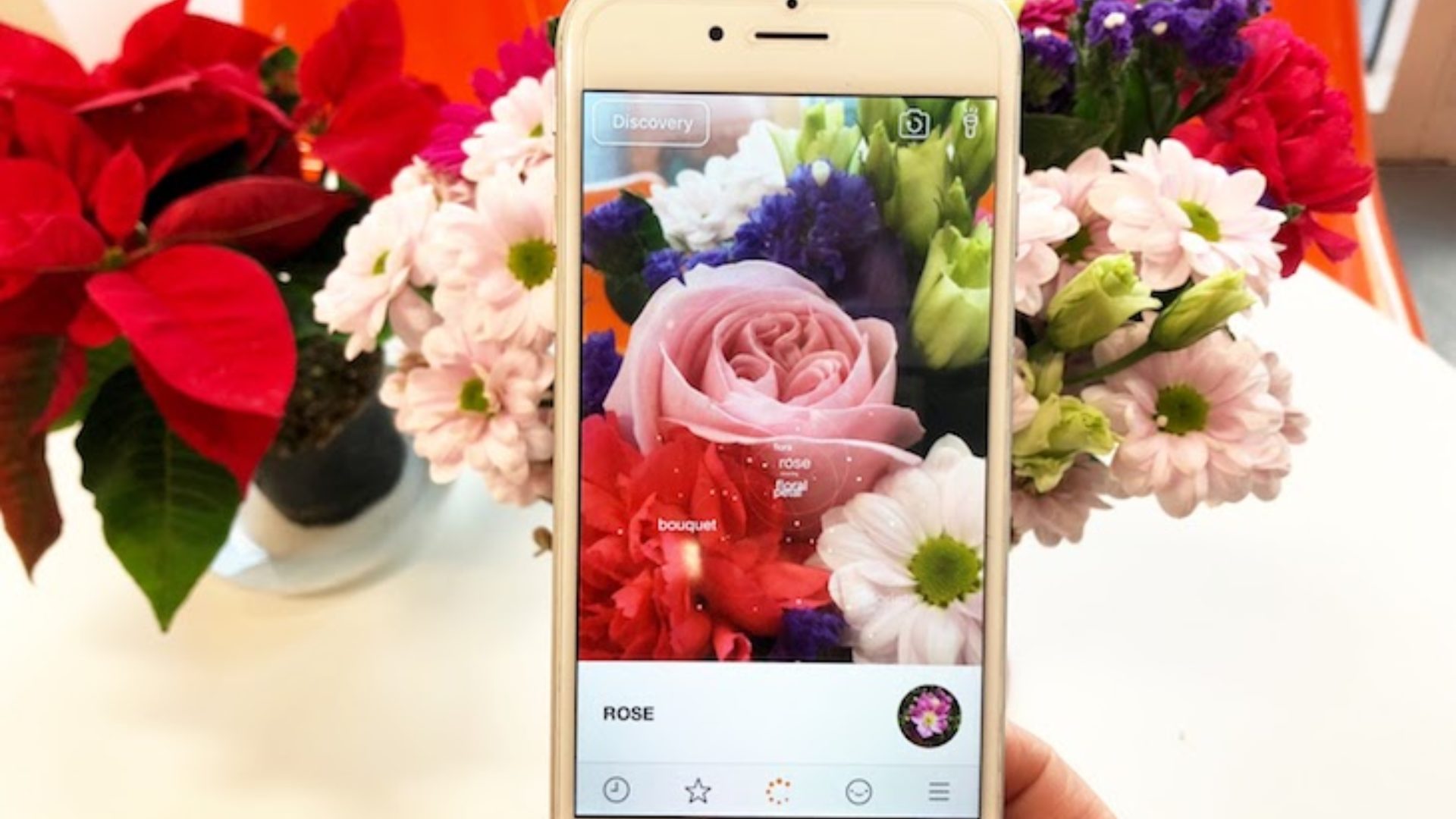 New Flower Recognition Api Be Your Own