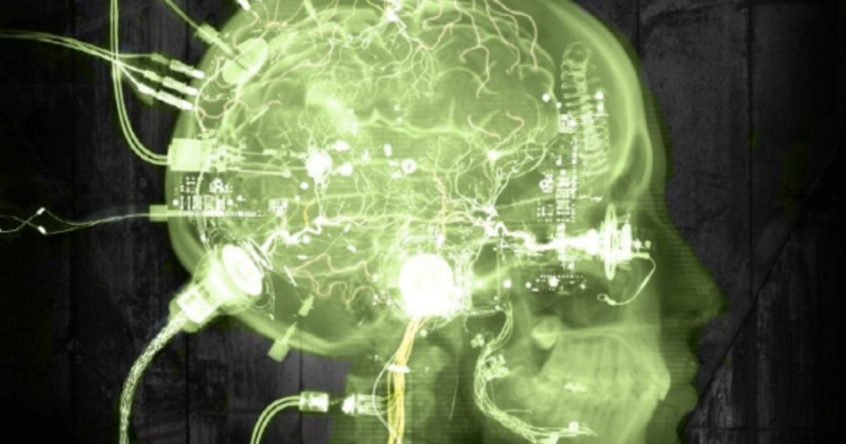 последние исследования мозга